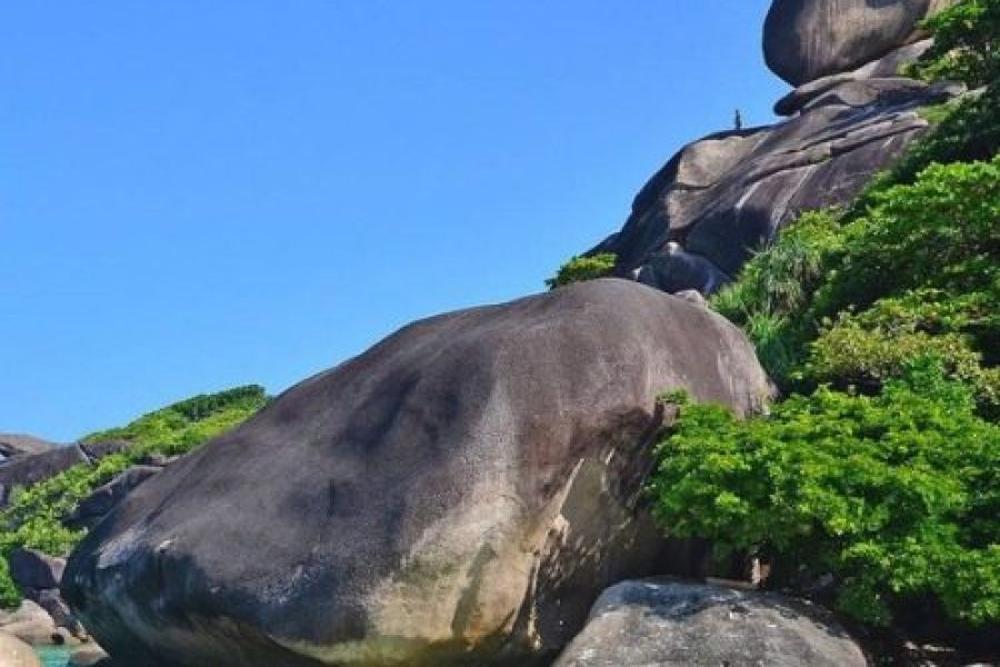 Similan Island  (SPEED BOAT) By Charter Marine