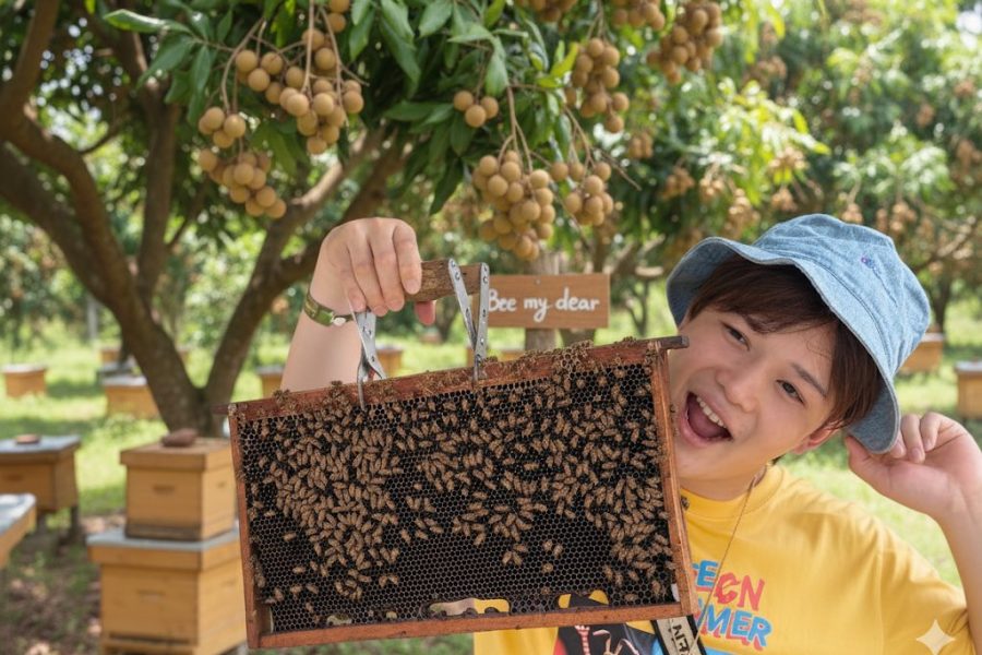 Bee My Dear Honey Farm Phuket