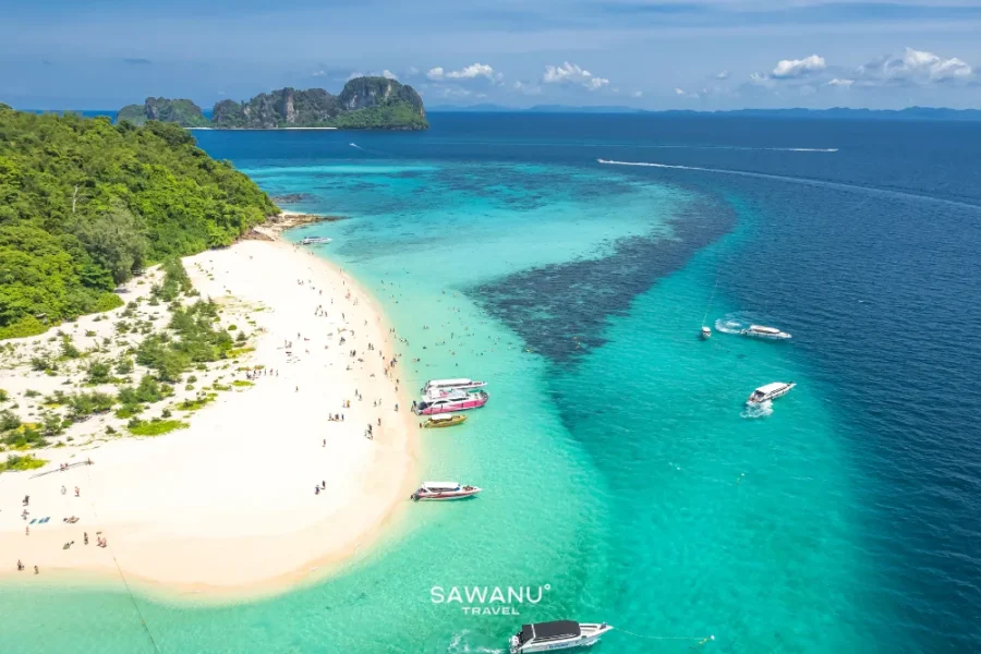 Phi Phi – BAMBOO Island By Speed Catamaran (SUWANU)